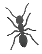 Ant & Colony Elimination