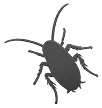 Cockroach Extermination
