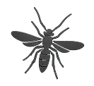 Stinging Insects & Nest Removal
